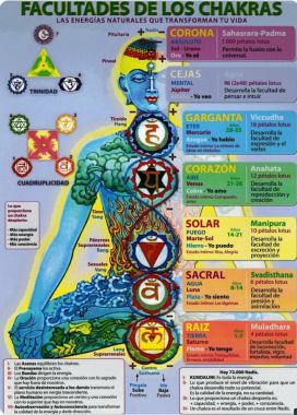 Les chakras,  circulation des énergies 