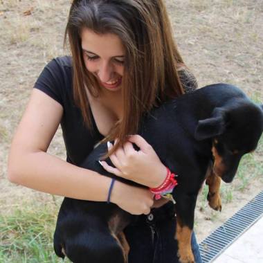 Disponível Para Passear E Cuidar Dos Seus Animais