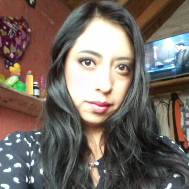 Festifiesta
