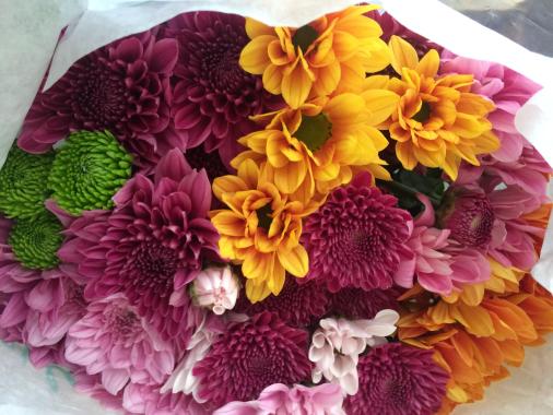 Chrysanthemums
