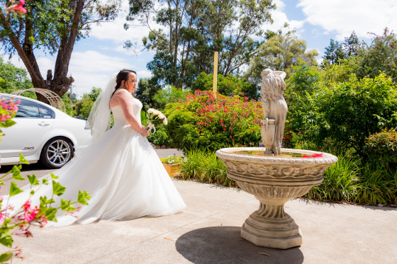 Wedding Photos