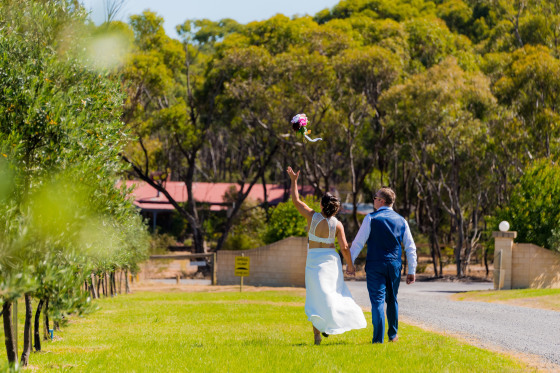 Wedding Photos
