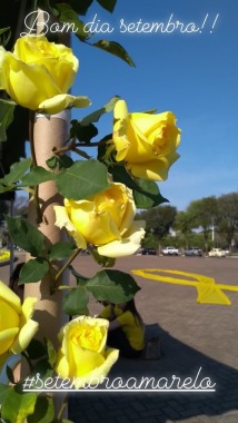 Setembro Amarelo 