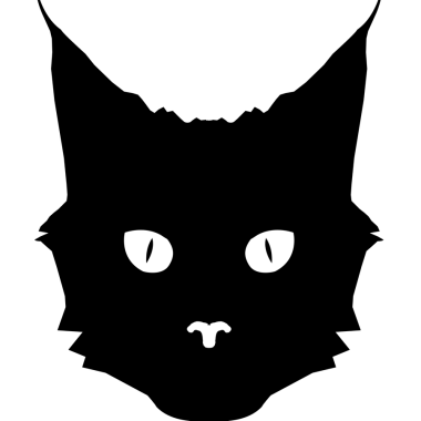 La Panthère Noire Photographe