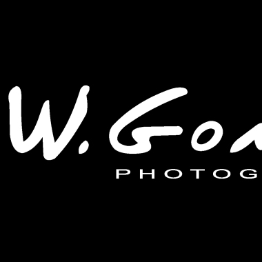 Wgontijo