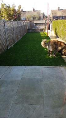 Astro Turf and fen