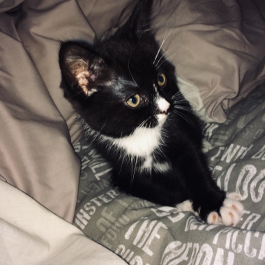 Ellie