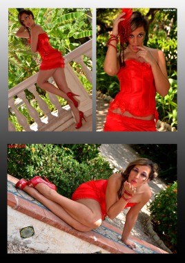 Book Modelos