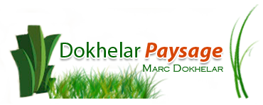 Dokhelar Paysage
