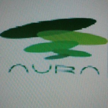Aura Paisajismo