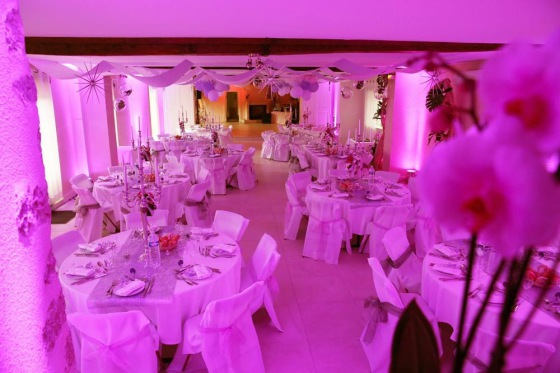 Mariage Domaine des Coudraies (41)