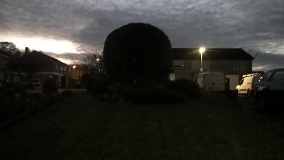 tree and hedge trimming