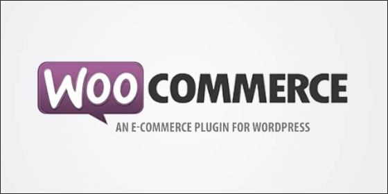 WooCommerce programmer and developer