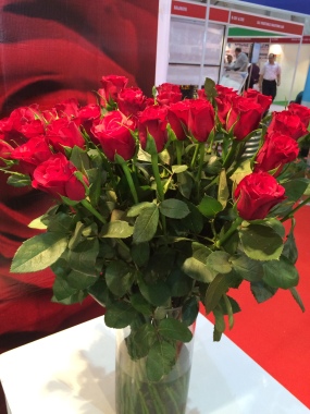 Roses