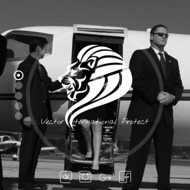 Vector-International-Protect