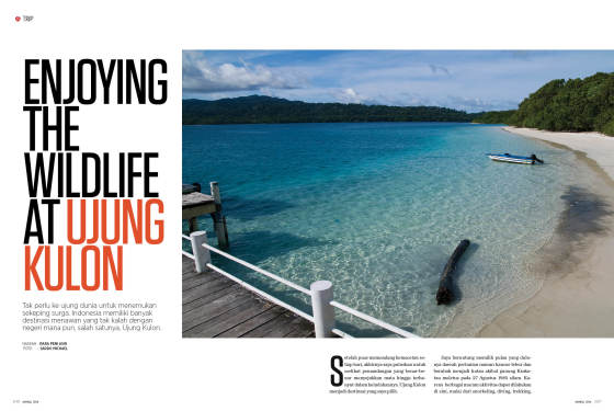Trip jadi hal yang menyenangkan untuk melepas penat. Saat itu saya memilih Ujung Kulon sebagai destinasi saya untuk mengisi waktu cuti. Puas dan ingin kembali adalah hal yang hingga sekarang mencuat di kepala saya ketika mendengar Ujung Kulon.