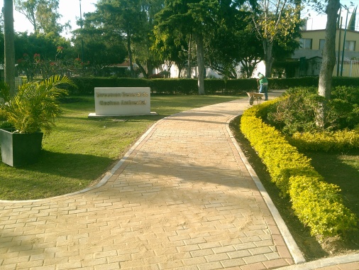 REHABILITACIÓN Y MEJORAMIENTO DE PARQUE MÉXICO.