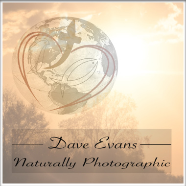Naturally Photographic