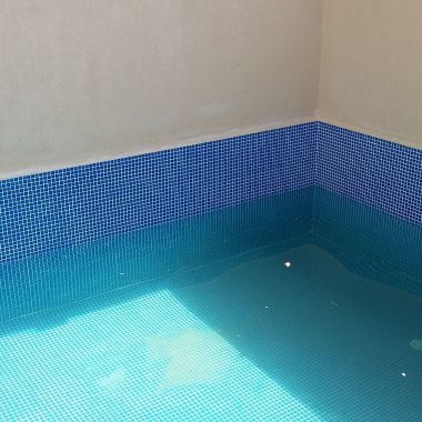 Dedetizadora E Desentupidora Delta Cupim