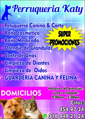 nuestros servicios