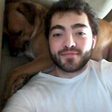 Cão Urbano