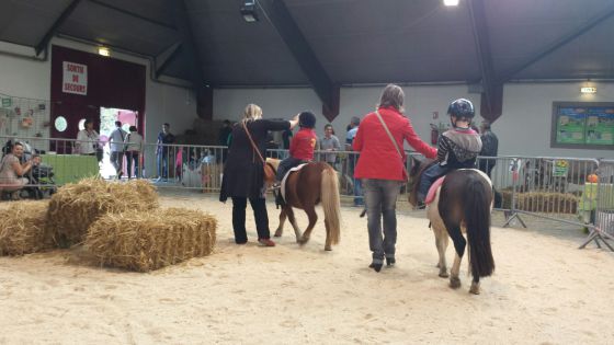 Animation poneys bapteme poney