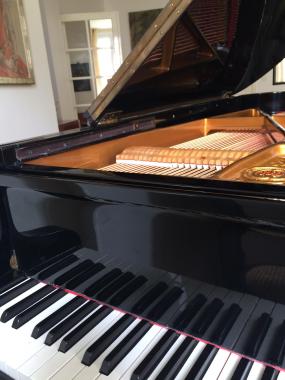 Découvrez la beauté intérieure de votre piano et apréciez sa musicalité !
