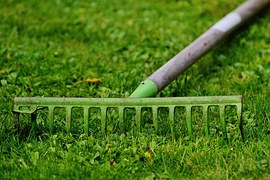 Cfm Le Ruban Vert