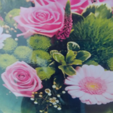 Florista Silcentro