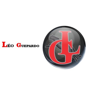 Lg Capricho