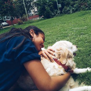 Pawfecto