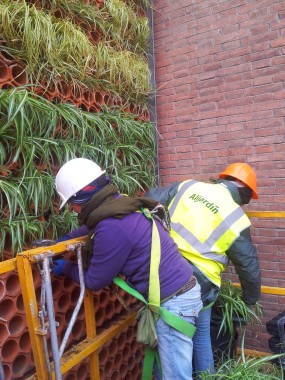 Diseño y ejecución de jardin vertical para Ayto. de Barcelona. 