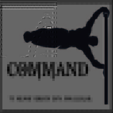 Command