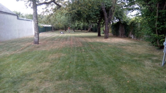 Tonte d'un propieté 2000m²