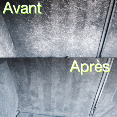Traitement poils d'animaux