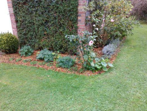 Plantation, entretien de massif, fourniture de paillis de broyage, desherbage