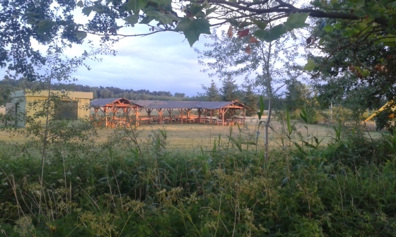 20150619_204059.jpg
