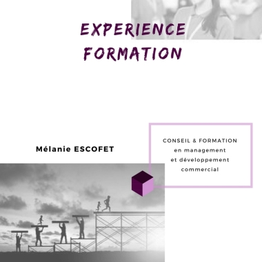 Expérience Formation