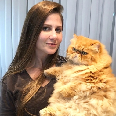 Cat Sitter Su