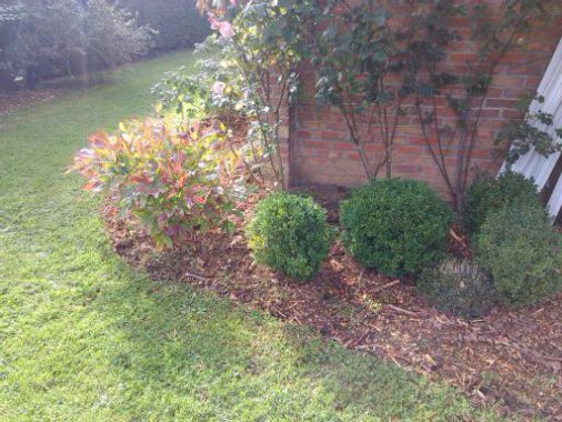 Plantation, entretien de massif, fourniture de paillis de broyage, desherbage