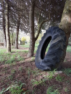Spartantraining