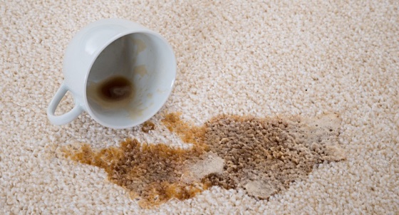 Carpet Care Solutions Coffee Stain