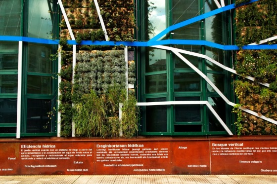 Alijardin, Jardin vertical Palacio Europa, Vitoria-Gasteiz, 6