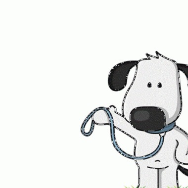 Passeio Com Cães