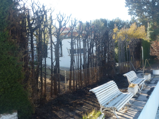  Incendio