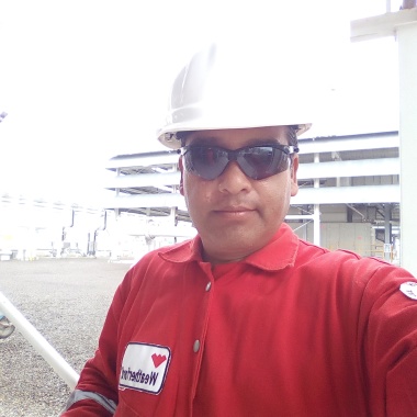 Servicios Profesionales