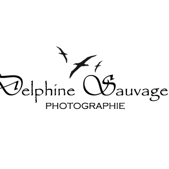 Delphine Sauvage Photographie