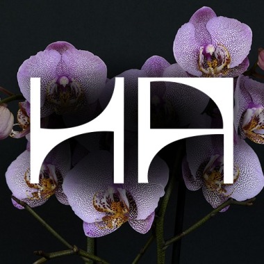 Azzopardi Fleurs