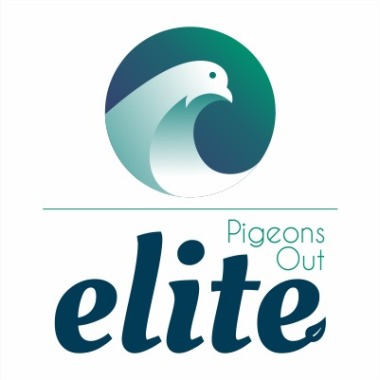 Elite Controle De Pragas