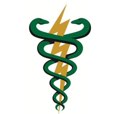 Fisioterapia